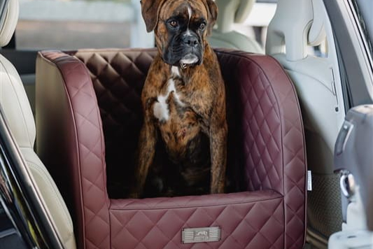 DOGSTYLER PaWorks GmbH | Unternehmen